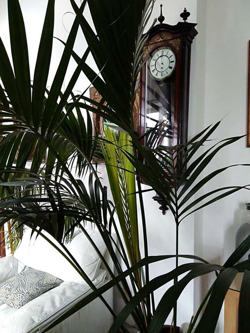 Il Camaleonte Βίλα Bracciano  Εξωτερικό φωτογραφία